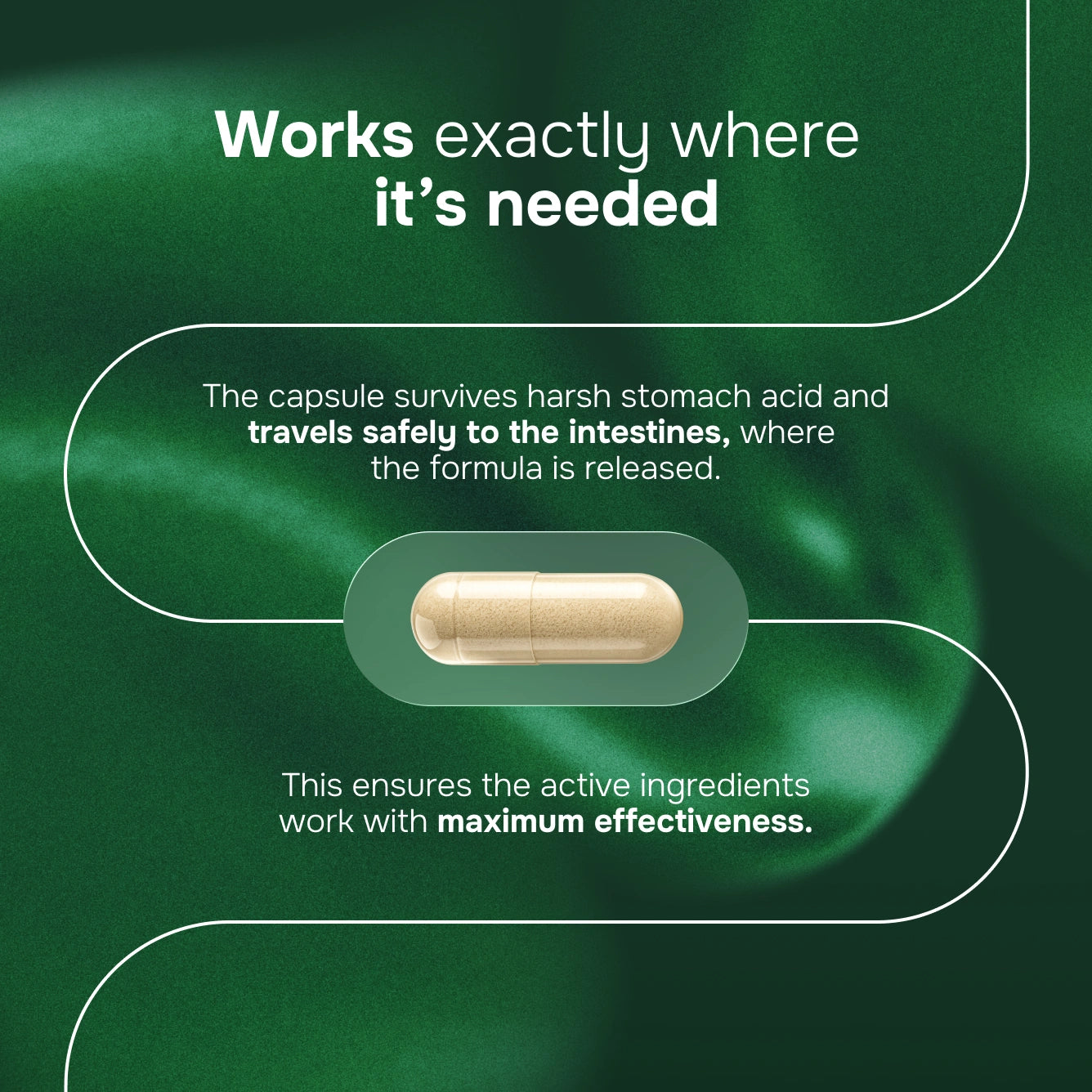 Synbiotic 3 in 1