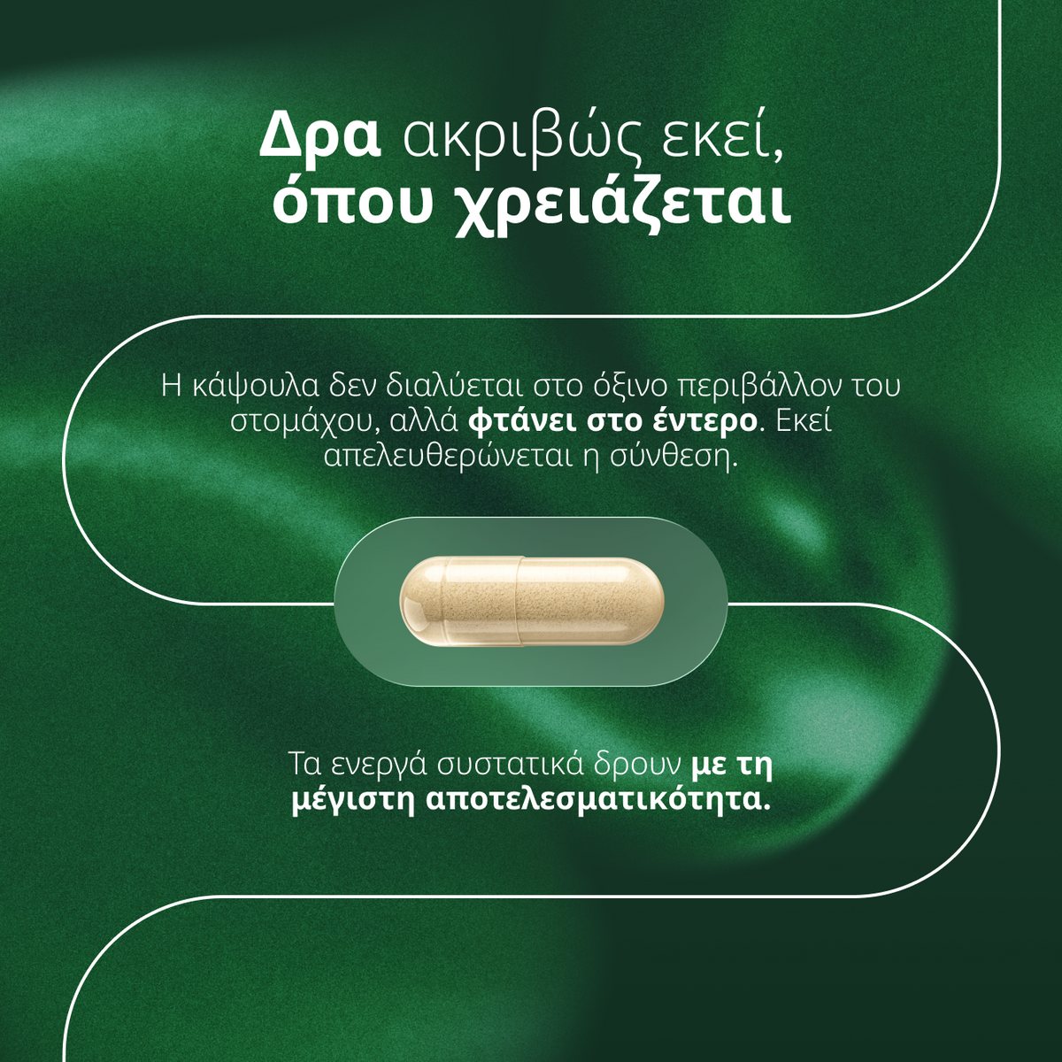 Synbiotic 3 in 1