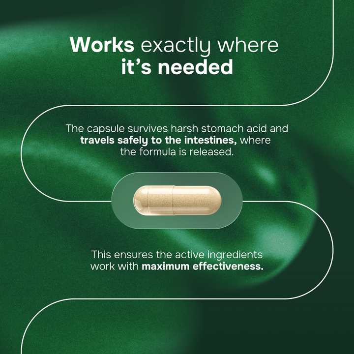 Synbiotic 3 in 1