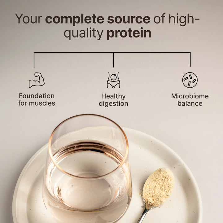 Daily Vegan Protein