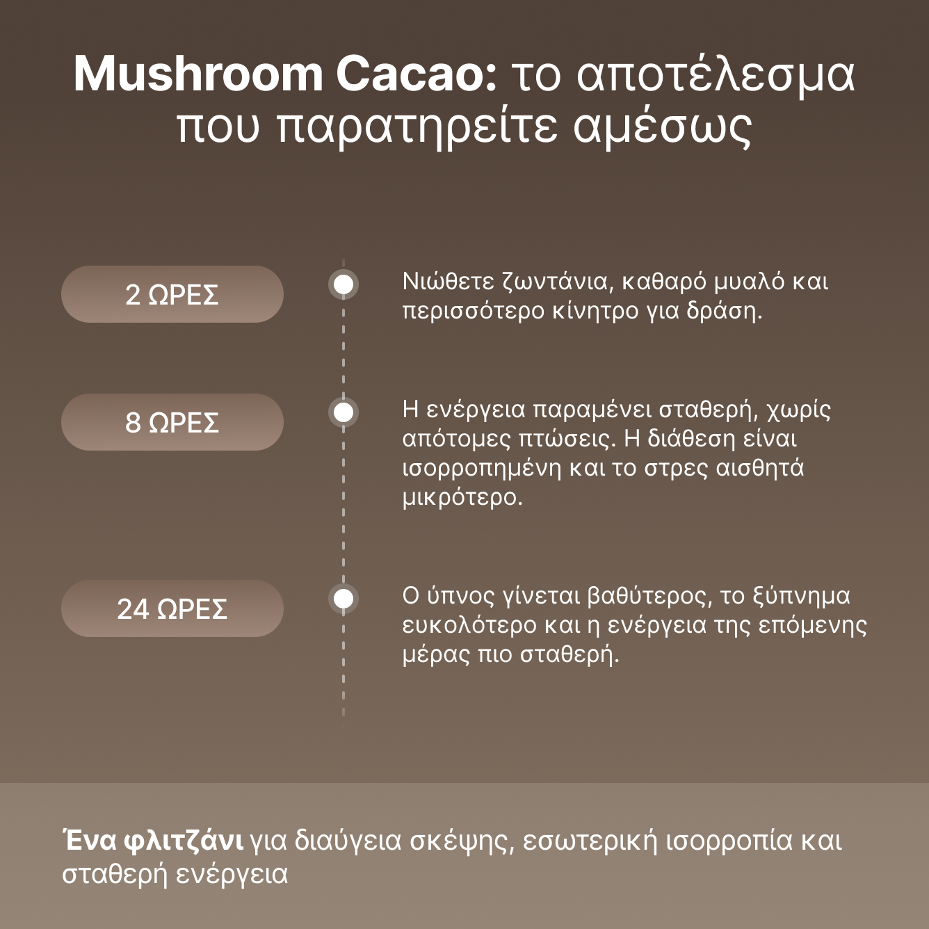 Mushroom Cacao