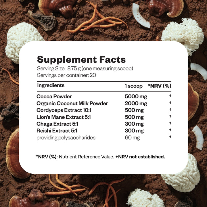 Mushroom Cacao