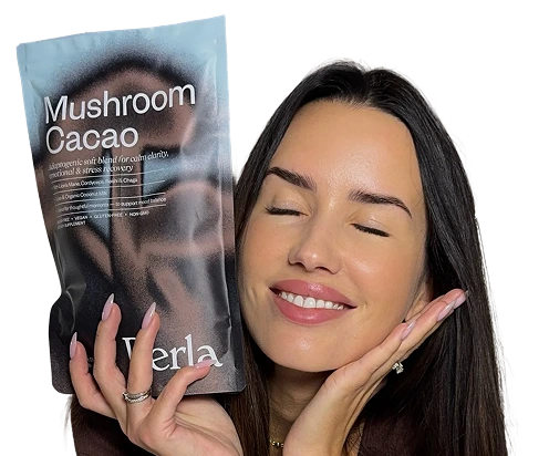 How Mushroom Cacao works