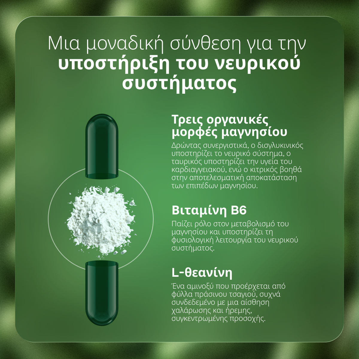 Triple Magnesium + B6