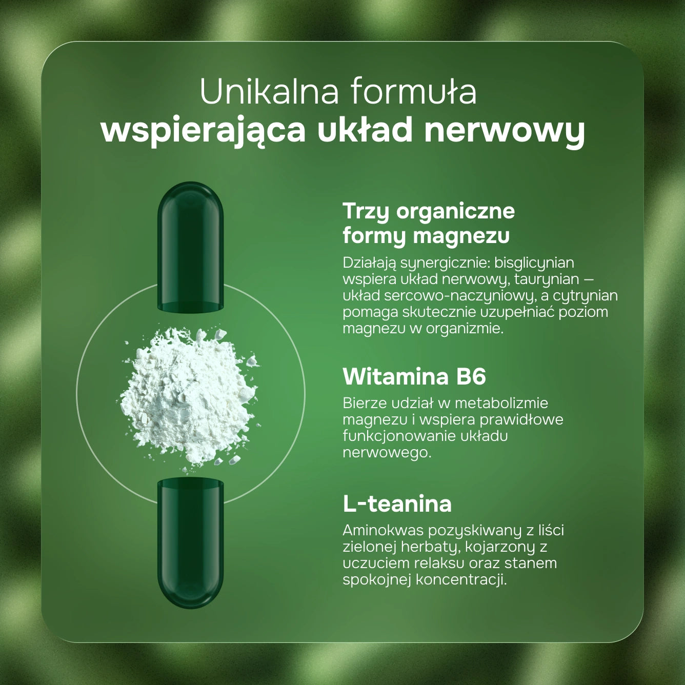 Triple Magnesium + B6