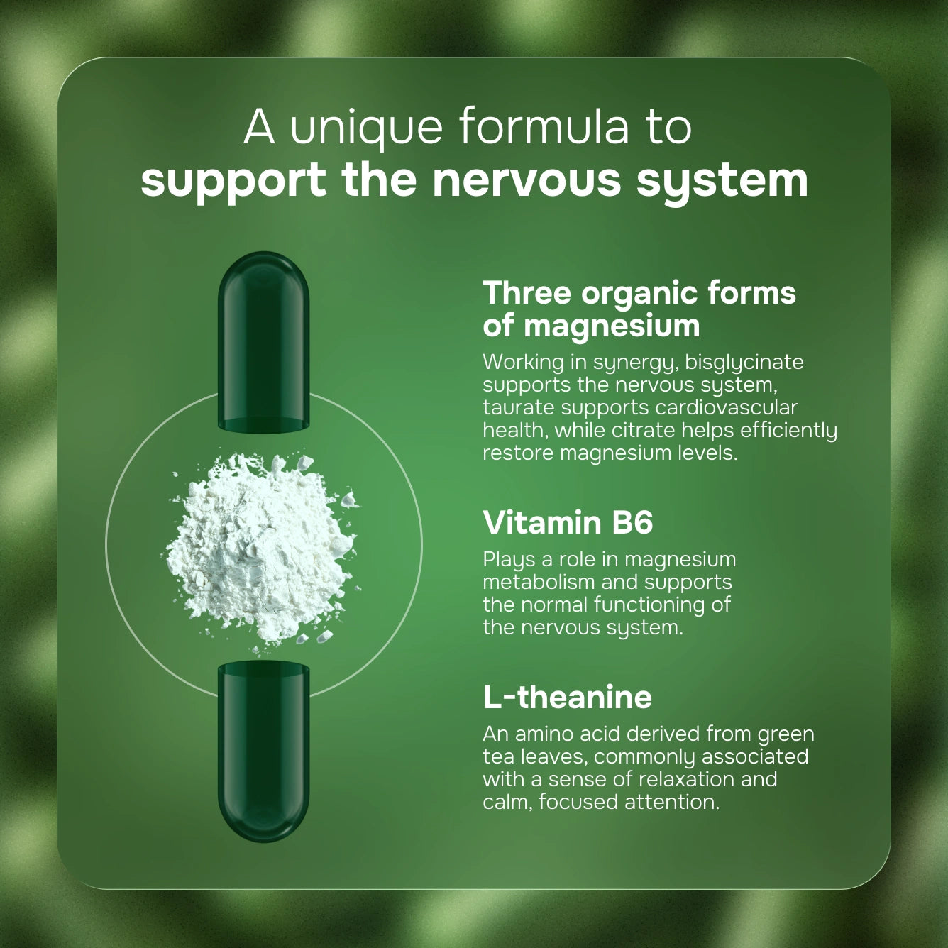 Triple Magnesium + B6